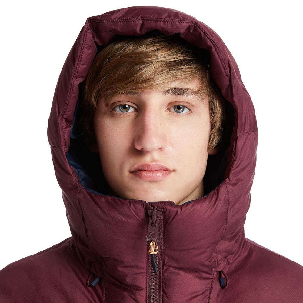Chaquetas Timberland Hombre Neo Summit Sin Capucha Invierno Burdeos - Chile VCY-247086